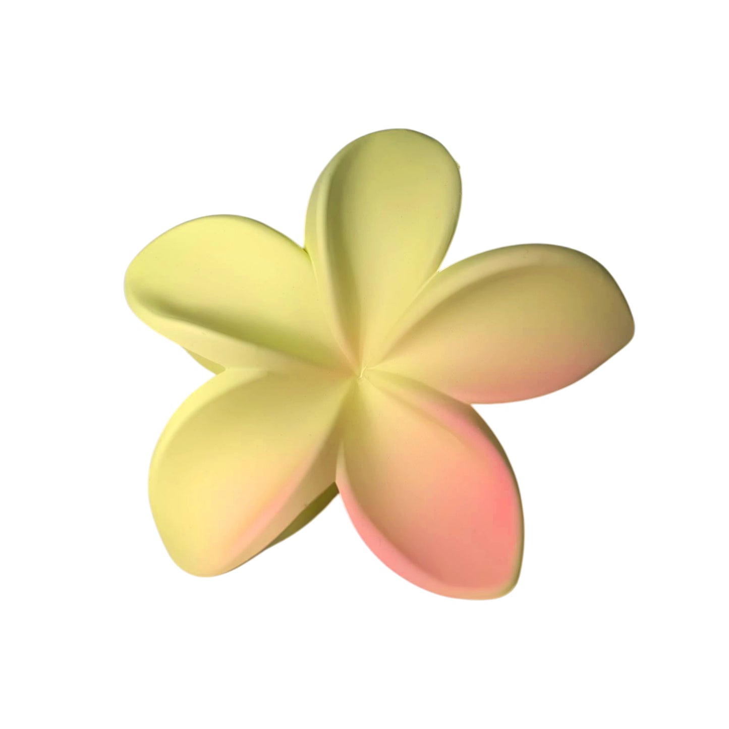 Pinza flor degrade