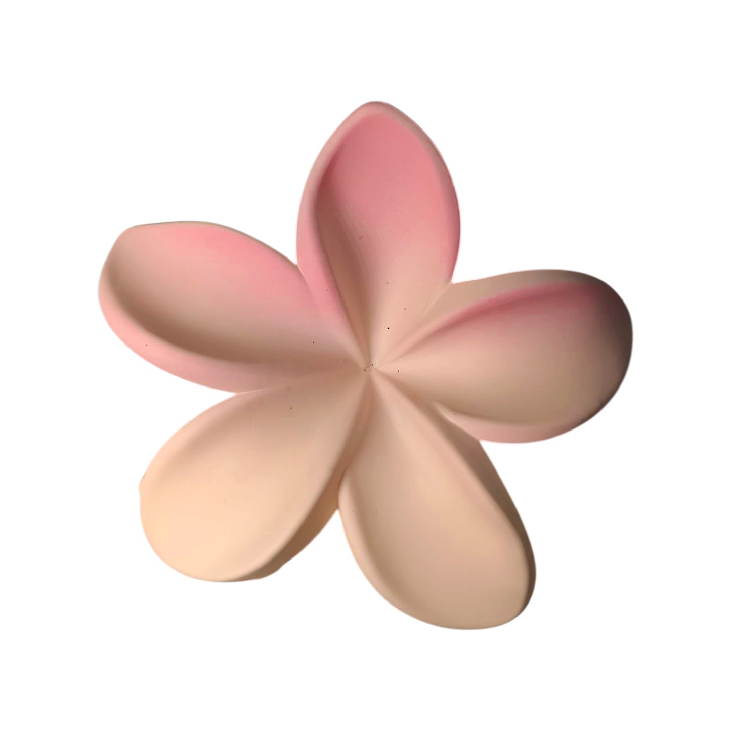 Pinza flor degrade
