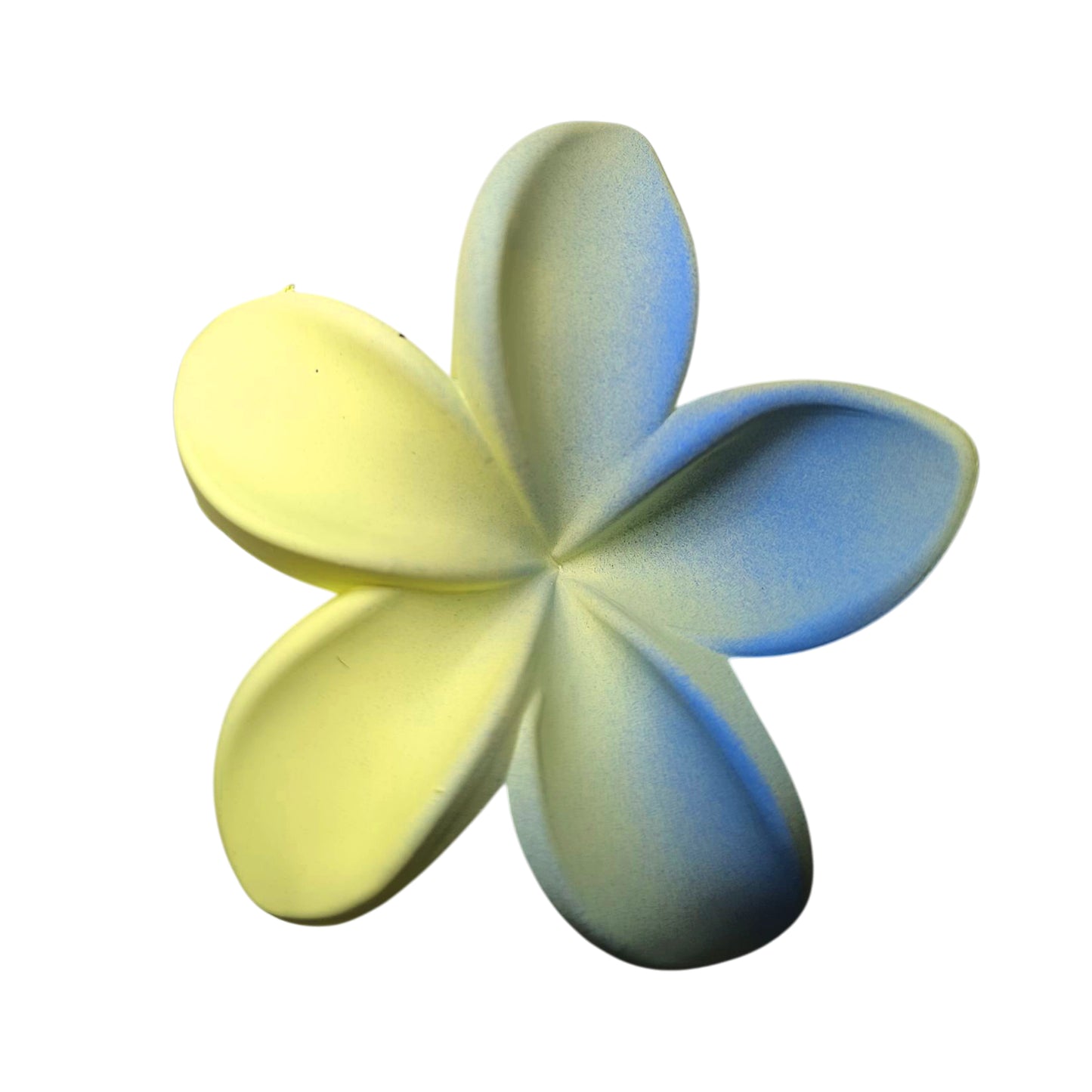 Pinza flor degrade