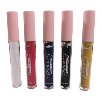 Set de 5 Labiales Líquidos para Maquillaje Artístico con Manual de Mezclas de Colores